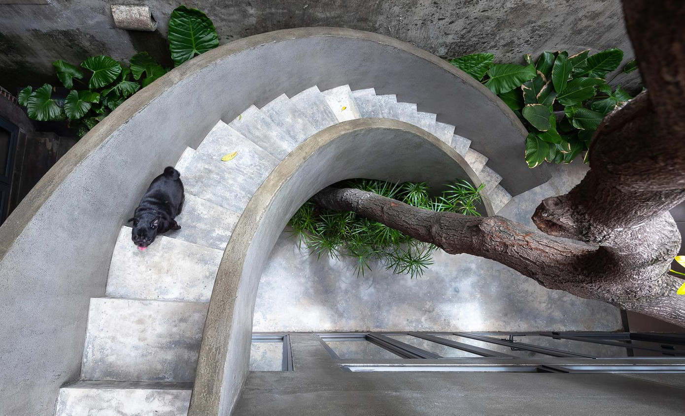 Đặc biệt, các kiến trúc sư mong muốn hai mẹ con chủ nhà đi bộ dưới tán lá có thể cảm nhận được sự thay đổi của từng bước cầu thang.