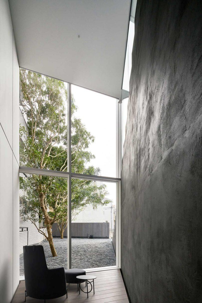 Ngôi nhà được chia thành ba tầng, tầng trệt thuộc về cặp vợ chồng lớn tuổi và tám con mèo với mục đích để họ tránh phải leo cầu thang khi ngày càng lớn tuổi hơn.