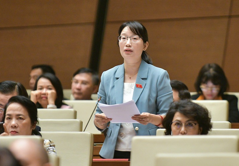 ĐBQH Nguyễn Thị Diệu Thúy - TP.HCM. ĐBQH Nguyễn Thị Diệu Thúy - TP.HCM.