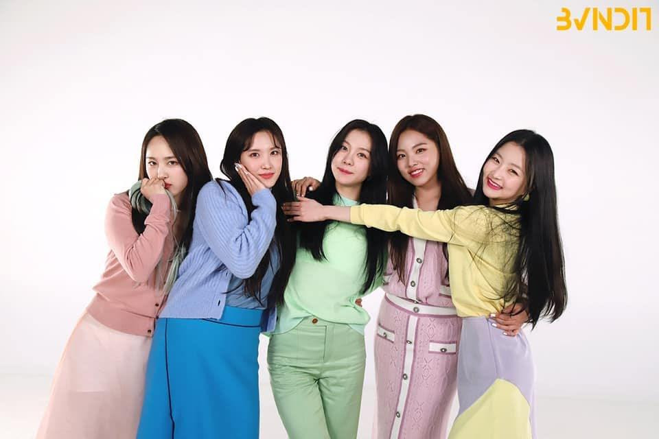 BVNDIT ra mắt vào ngày 10/4/2019 rồi tan rã vào ngày 11/11. Công ty quản lý của họ MNH Entertainment cho biết quyết định được đưa ra sau một cuộc thảo luận dài với các thành viên.