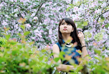 Vương vấn mùa hoa trắng tháng ba ảnh 1