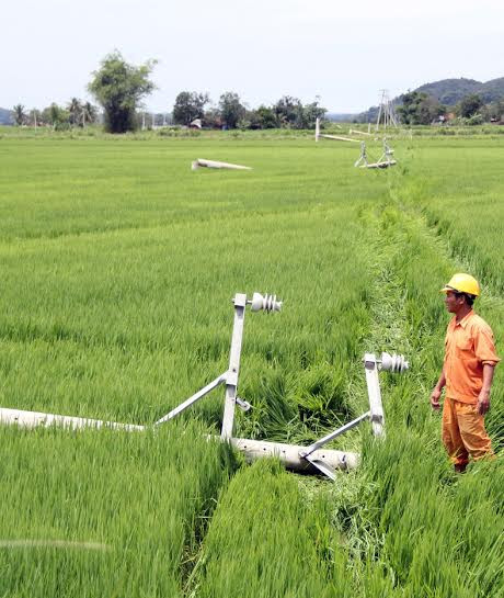Lốc kinh hoàng quét qua Lâm Đồng, cây cối đổ la liệt ảnh 1