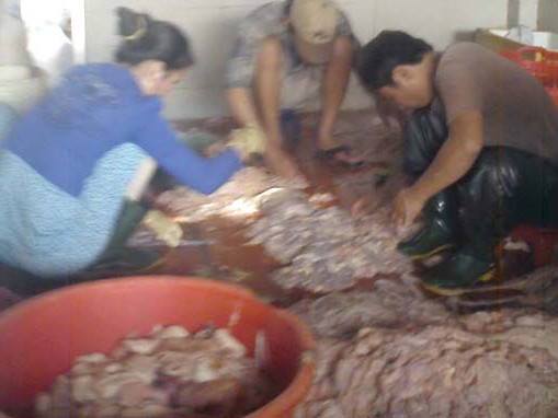 Chế biến nguyên liệu ngay giữa nền nhà tại cơ sở bà Hòa. Ảnh: Đ.PHÚ 