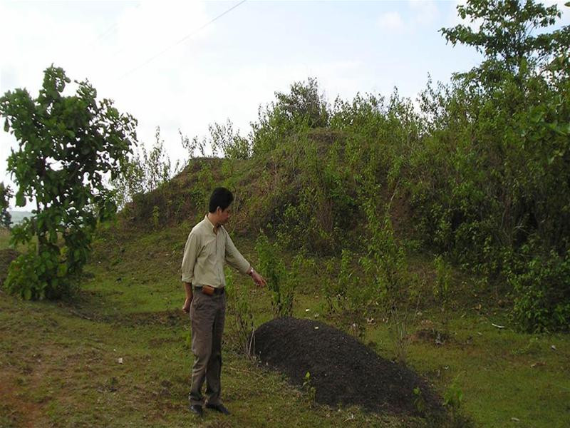 Ụ nhựa đường được phim cho rằng là mộ liệt sĩ Đảm trên đồi 467. Ảnh : H.K