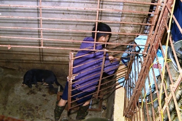 Chiếc hầm bí mật trong đường dây trộm hơn 100 tấn chó ở Thanh Hóa ảnh 3