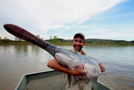 Hãi hùng với những 'thủy quái' có kích thước khủng nhất thế giới ảnh 6