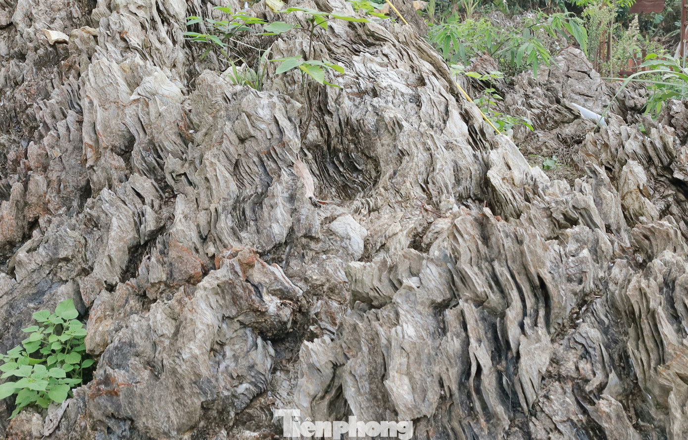 Bề mặt ngoài của khối đá giống với các thớ gỗ lụa.