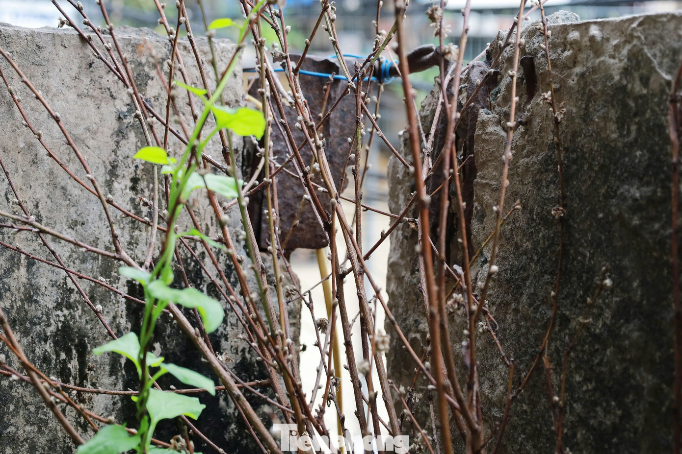 Được biết, khu tập thể được xây dựng và đưa vào sử dụng từ năm 1978, từng là nơi ở của công nhân khoan hầm và lắp máy Thủy điện Hòa Bình. Hiện nay, hơn 260 hộ dân ở đây chủ yếu là công nhân của nhà máy thủy điện về hưu.