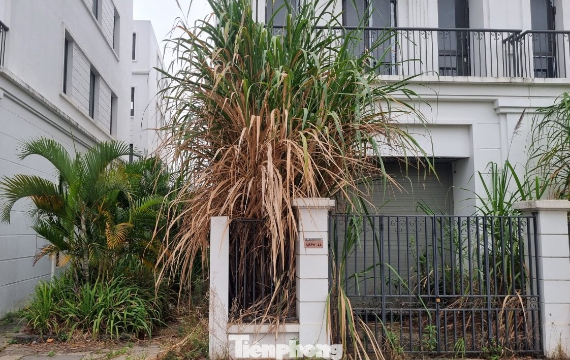 “Phần lớn các căn hộ thuộc sở hữu của người từ nơi khác, chủ yếu là dân TP. Hà Nội. Vì vậy, rất ít người chuyển đến ở, đa số mua để đầu tư, hoặc cho thuê mặt bằng kinh doanh. Nhưng thực tế, nhu cầu thuê tại đây cũng không cao, nên nhiều căn vẫn trong tình trạng bỏ trống”, bà Huyền chia sẻ. “Phần lớn các căn hộ thuộc sở hữu của người từ nơi khác, chủ yếu là dân TP. Hà Nội. Vì vậy, rất ít người chuyển đến ở, đa số mua để đầu tư, hoặc cho thuê mặt bằng kinh doanh. Nhưng thực tế, nhu cầu thuê tại đây cũng không cao, nên nhiều căn vẫn trong tình trạng bỏ trống”, bà Huyền chia sẻ.