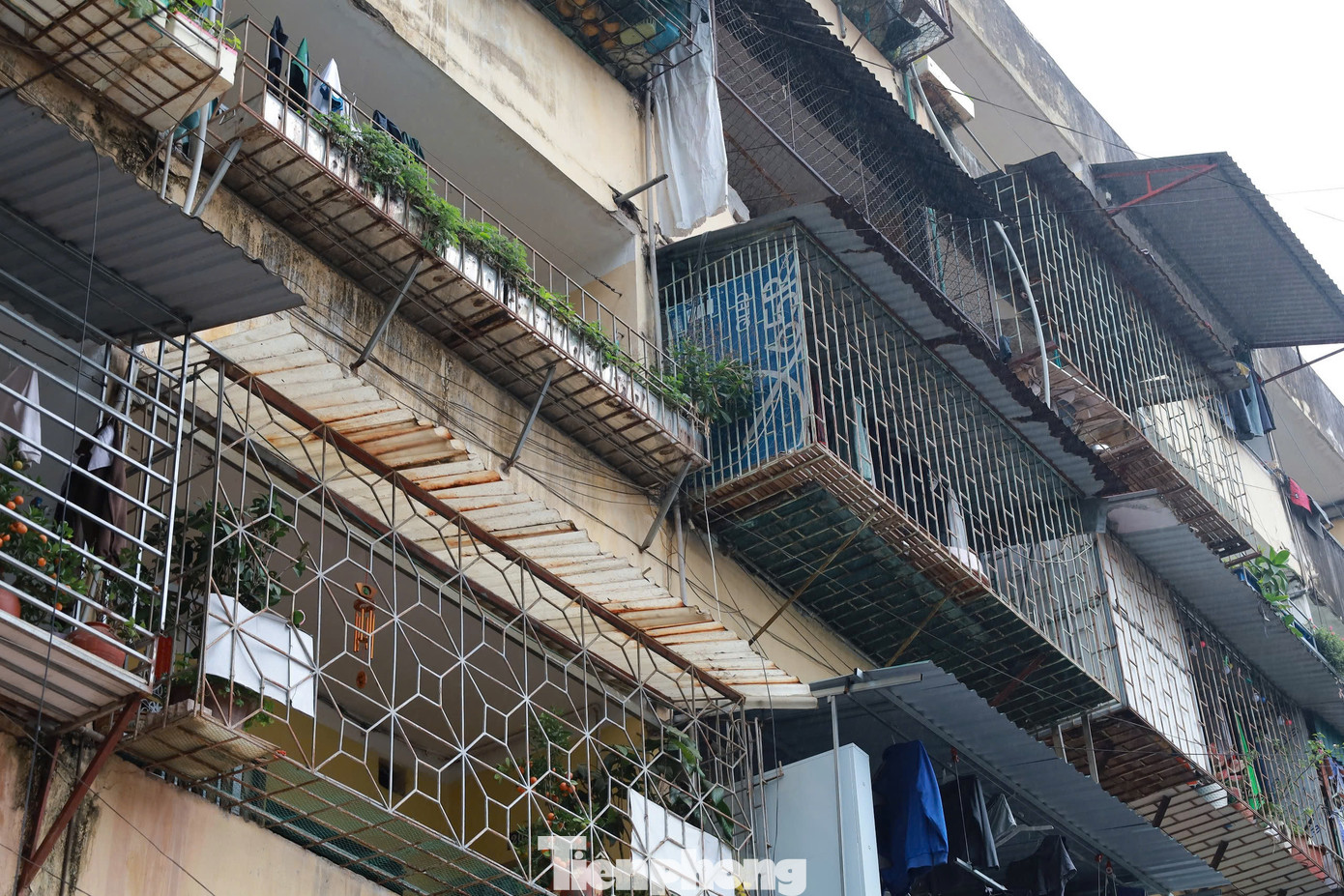 Người dân nơi đây cho biết, khu nhà đã sử dụng hơn 40 năm, nơi ở của hàng trăm hộ gia đình đang từng ngày xuống cấp nghiêm trọng.