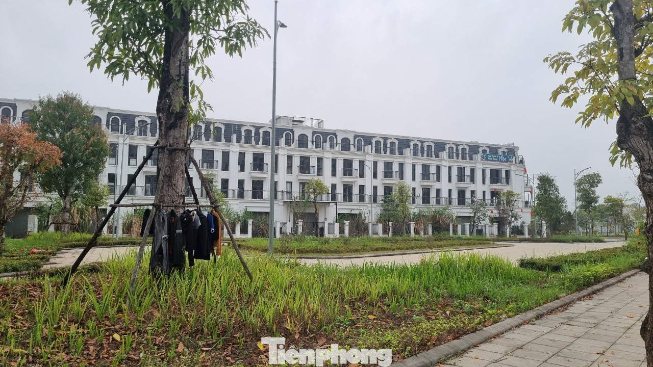 Cách dự án Nhà ở thương mại shophouse tại phường Tân Thịnh khoảng 6 km là loạt căn shophouse của dự án TSG Hoa Binh Centre do Công ty Cổ phần Bất động sản Sài Đồng làm chủ đầu tư. Dự án nằm trên đại lộ Chi Lăng kéo dài thuộc phường Dân Chủ, ngay tại khu Trung tâm hành chính tỉnh Hòa Bình với quy mô gần 35.400m2. Dự án cũng đang trong tình trạng vắng vẻ, đìu hiu do không có người ở. Cách dự án Nhà ở thương mại shophouse tại phường Tân Thịnh khoảng 6 km là loạt căn shophouse của dự án TSG Hoa Binh Centre do Công ty Cổ phần Bất động sản Sài Đồng làm chủ đầu tư. Dự án nằm trên đại lộ Chi Lăng kéo dài thuộc phường Dân Chủ, ngay tại khu Trung tâm hành chính tỉnh Hòa Bình với quy mô gần 35.400m2. Dự án cũng đang trong tình trạng vắng vẻ, đìu hiu do không có người ở.