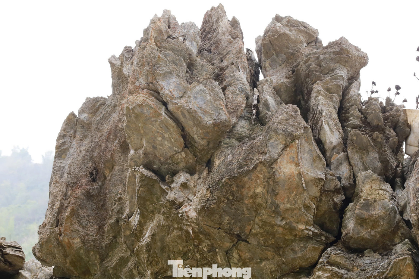 Trước sự quan tâm của dư luận, phóng viên đã có mặt tại khu vườn để tìm hiểu thực hư thông tin về khối đá.