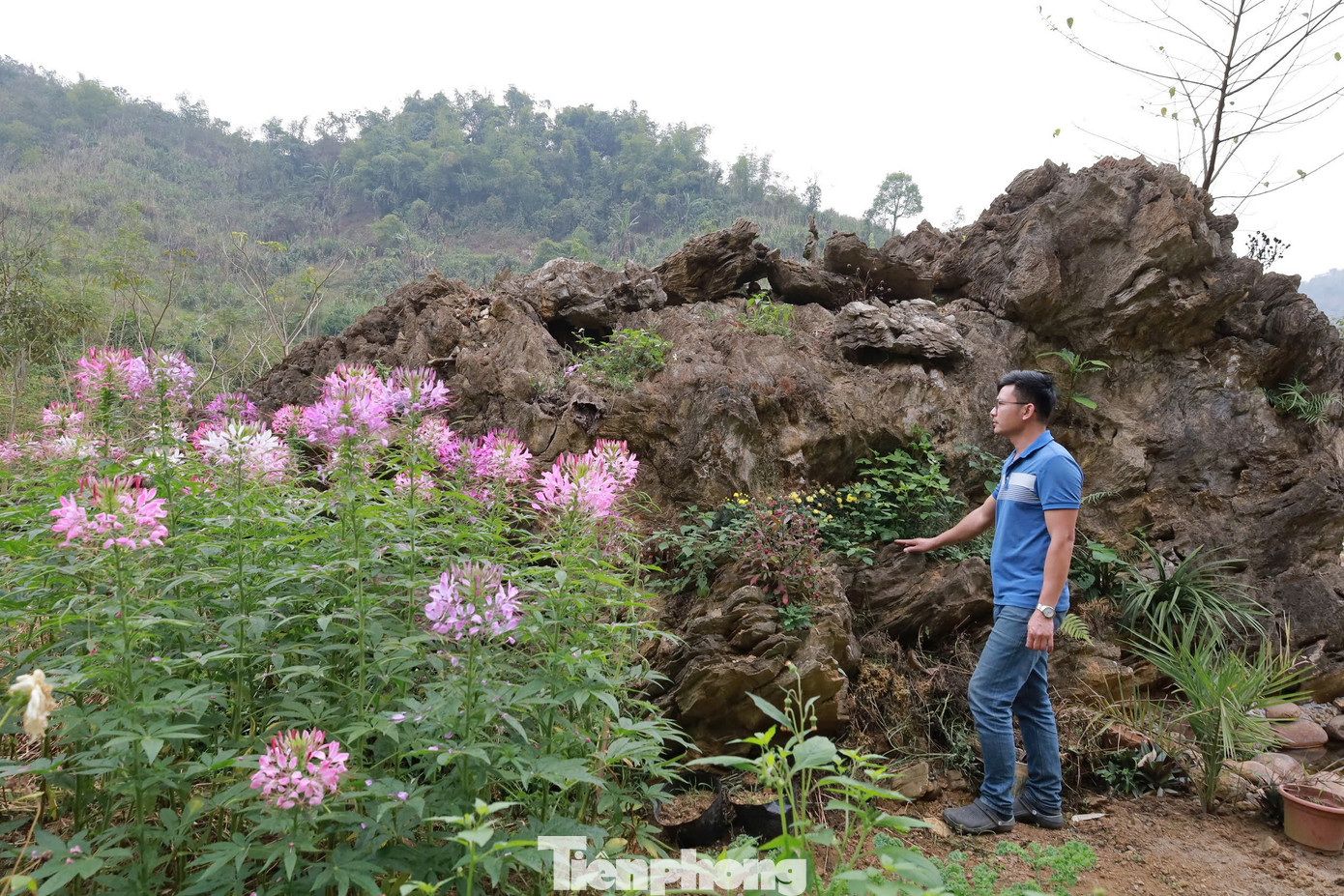 Trước sự quan tâm của dư luận, phóng viên đã có mặt tại khu vườn để tìm hiểu thực hư thông tin về khối đá.