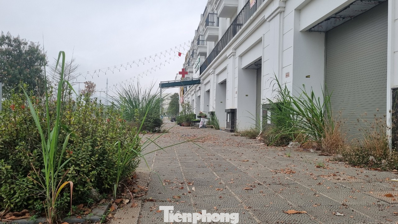 Theo bà Nguyễn Thị Huyền, cư dân sống ở TSG Hoa Binh Centre, bà đã mua căn hộ sau khi dự án hoàn thành vào năm 2022, với số tiền 6,5 tỷ đồng. Theo bà Nguyễn Thị Huyền, cư dân sống ở TSG Hoa Binh Centre, bà đã mua căn hộ sau khi dự án hoàn thành vào năm 2022, với số tiền 6,5 tỷ đồng.