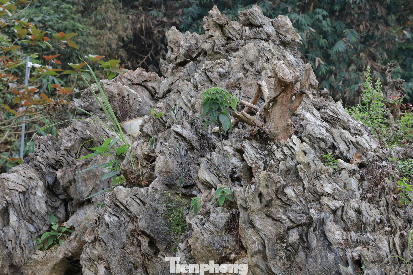 "Tôi đã liên hệ với bên khảo cổ về đo nồng độ carbon phóng xạ, nhằm xác định niên đại khối đá", chị Liên nói