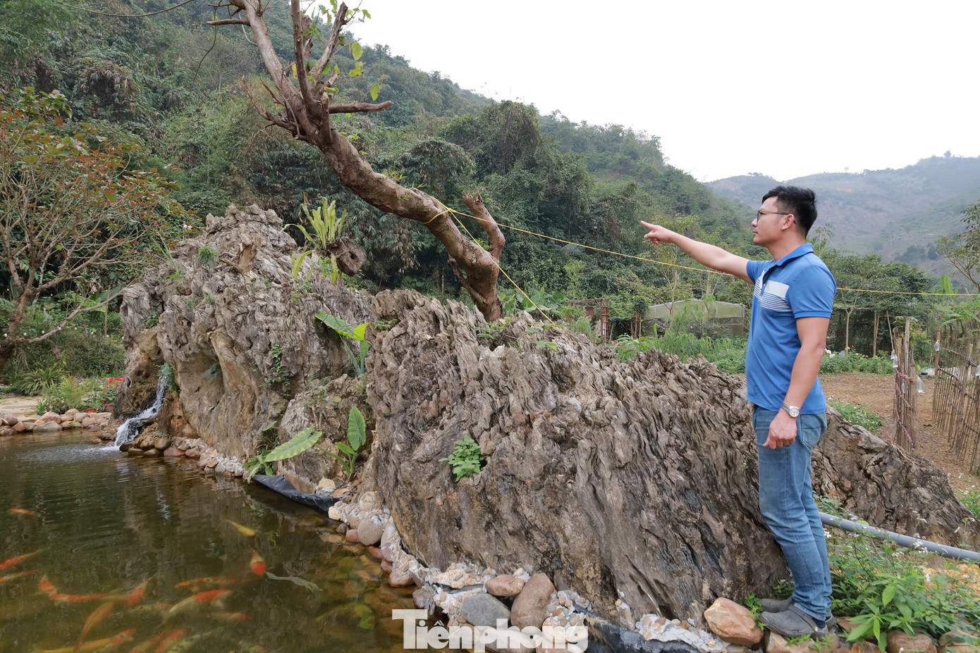 Trước sự quan tâm của dư luận, phóng viên đã có mặt tại khu vườn để tìm hiểu thực hư thông tin về khối đá.