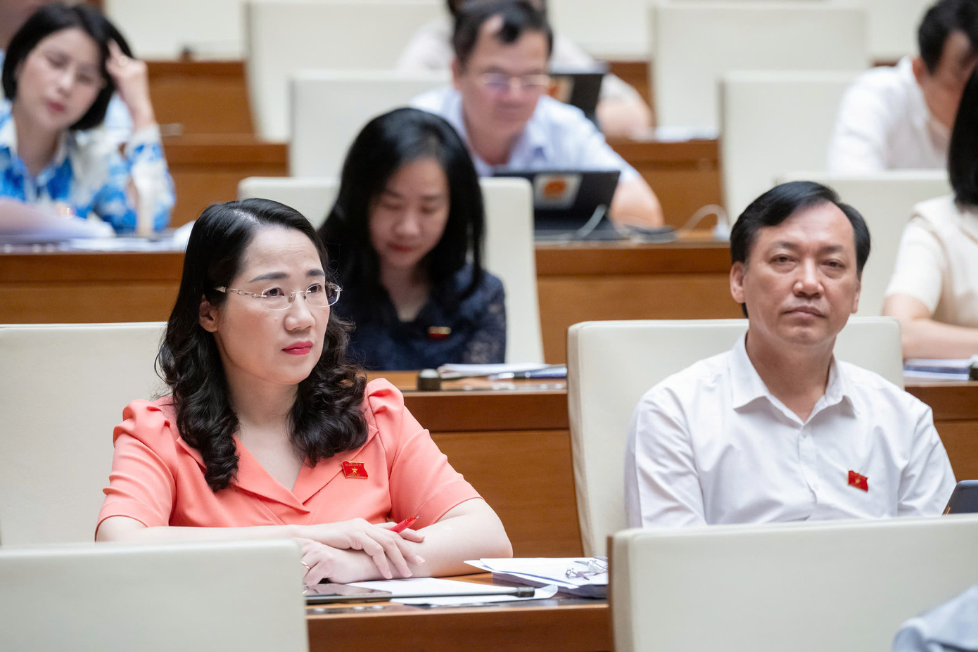 Các đại biểu Quốc hội tại phiên chất vấn