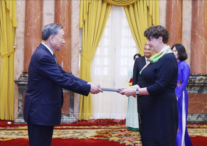 Tổng Bí thư, Chủ tịch nước Tô Lâm nhận Quốc thư từ Đại sứ Cộng hoà Liên bang Đức tại Việt Nam Helga Margarete Barth. Ảnh: Lâm Khánh/TTXVN