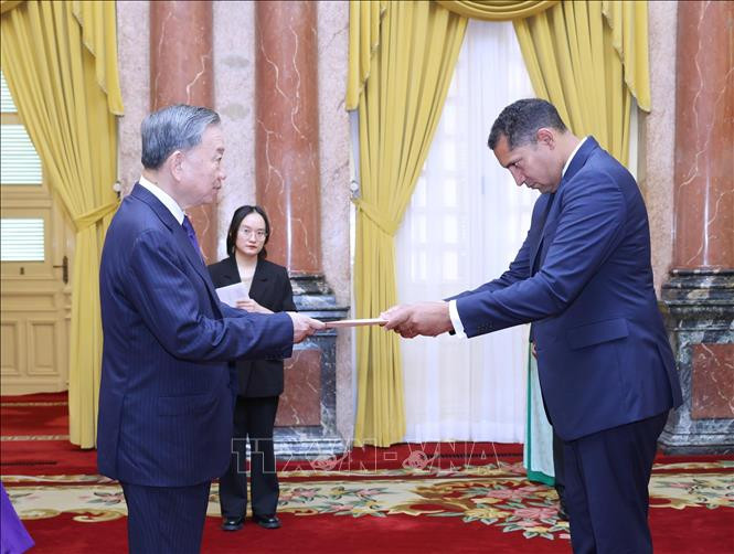 Tổng Bí thư, Chủ tịch nước Tô Lâm nhận Quốc thư từ Đại sứ Vương quốc Thụy Điển tại Việt Nam Johan Ndisi. Ảnh: Lâm Khánh/TTXVN