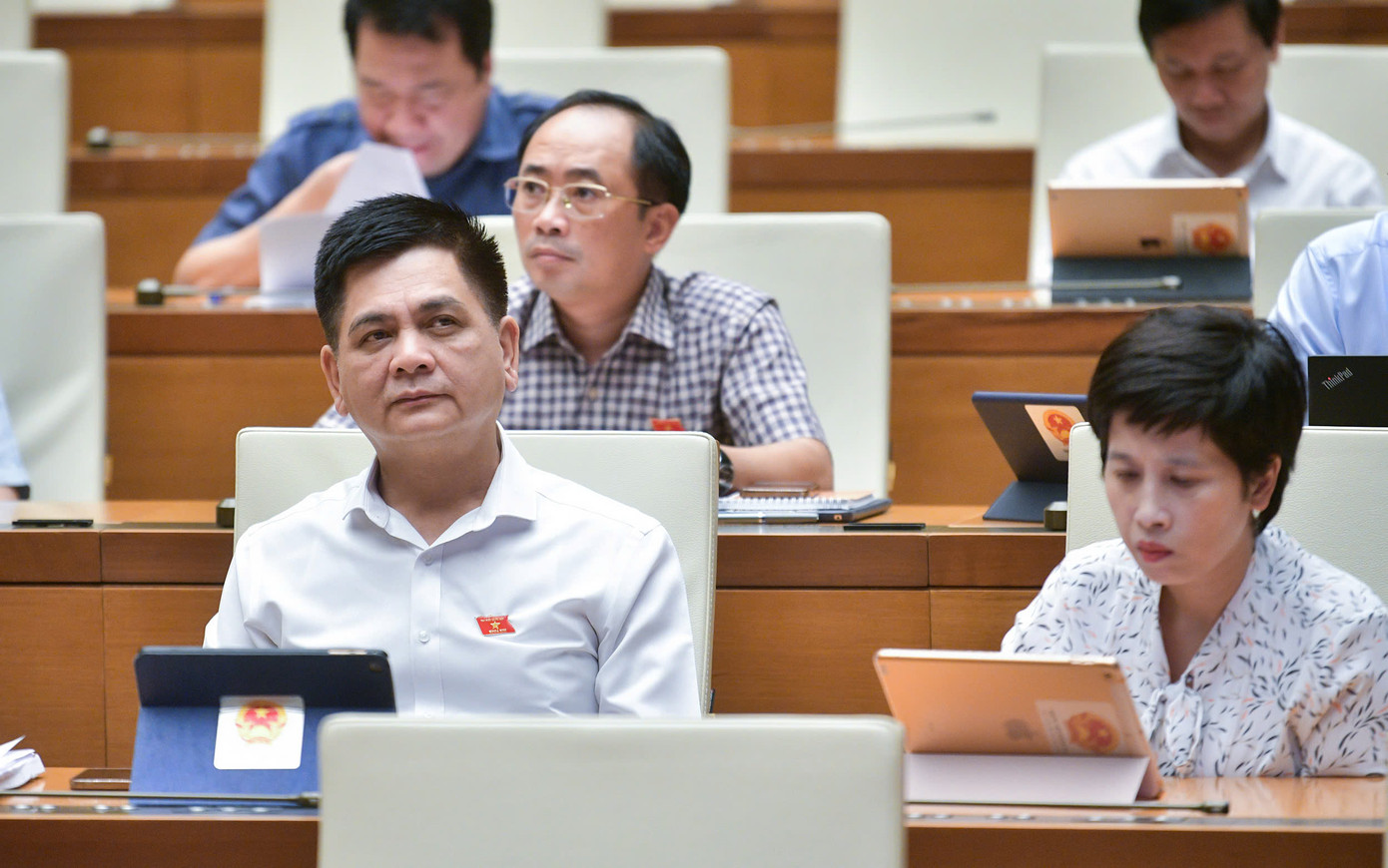 Các đại biểu tại phiên chất vấn