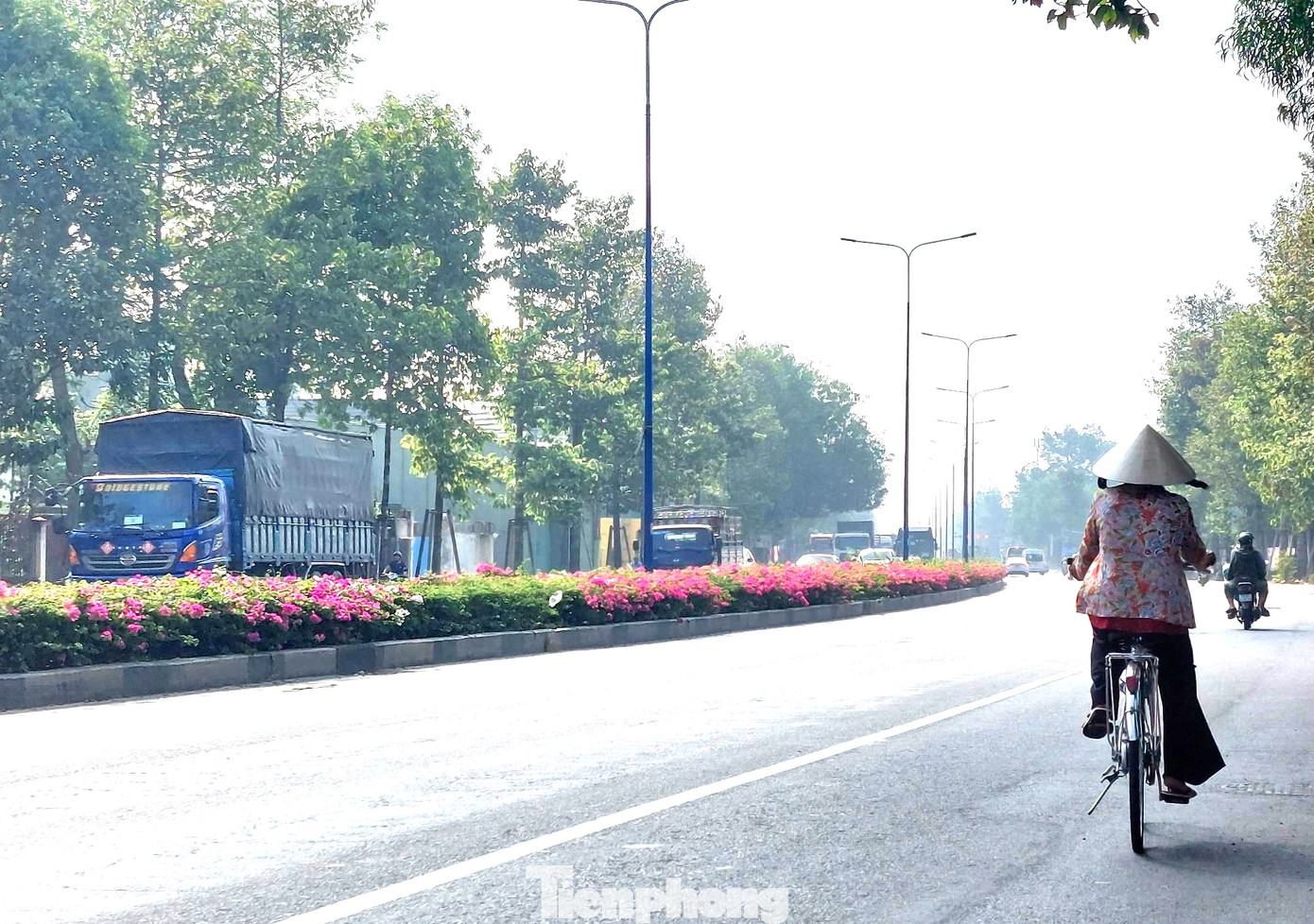 Hoa giấy nở rực trên tuyến đường Mỹ Phước Tân Vạn