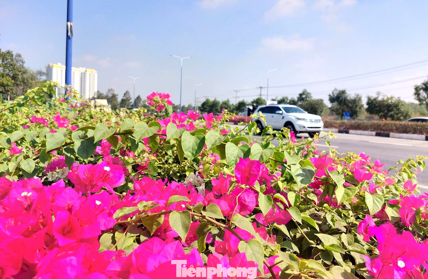 Đường Mỹ Phước Tân Vạn được khởi công từ năm 2009, bắt đầu từ ngã ba Tân Vạn (TP Dĩ An) đến trước Trung tâm hành chính huyện Bàu Bàng (quốc lộ 13). Trong đó, 42 km giai đoạn 1 từ quốc lộ 1 đến thị xã Bến Cát đã hoàn thành, đưa vào hoạt động từ năm 2015. Đến tháng 5/2021, đường Mỹ Phước Tân Vạn chính thức được thông xe toàn tuyến.