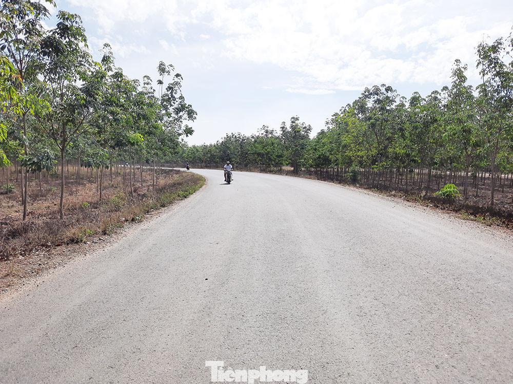 Đường vào sóc Khmer xã An Bình (huyện Phú Giáo, tỉnh Bình Dương)