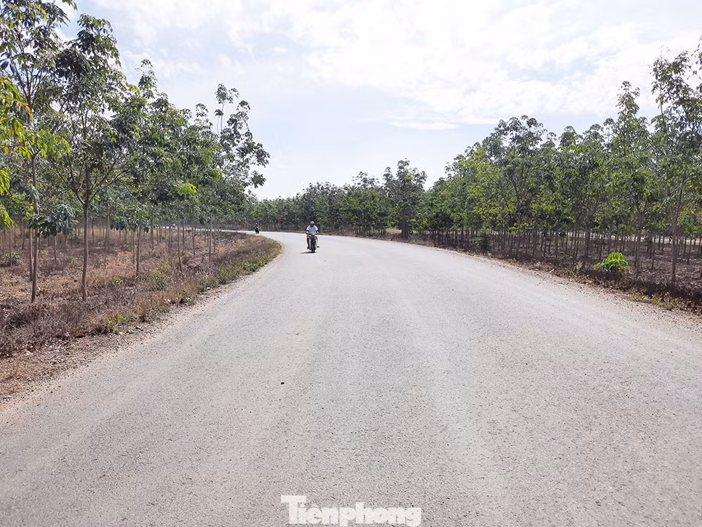 Đường vào sóc Khmer xã An Bình (huyện Phú Giáo, tỉnh Bình Dương) Đường vào sóc Khmer xã An Bình (huyện Phú Giáo, tỉnh Bình Dương)