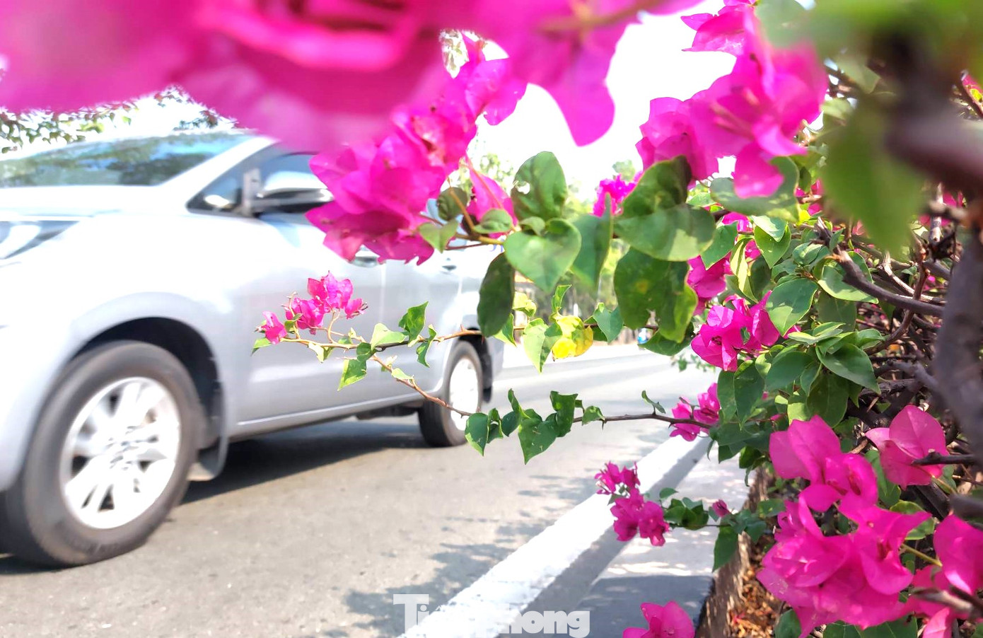 Kể từ khi đưa vào sử dụng, hầu hết các phương tiện vận tải hàng hóa đều di chuyển trên đường Mỹ Phước Tân Vạn, giúp giảm tải cho quốc lộ 13.