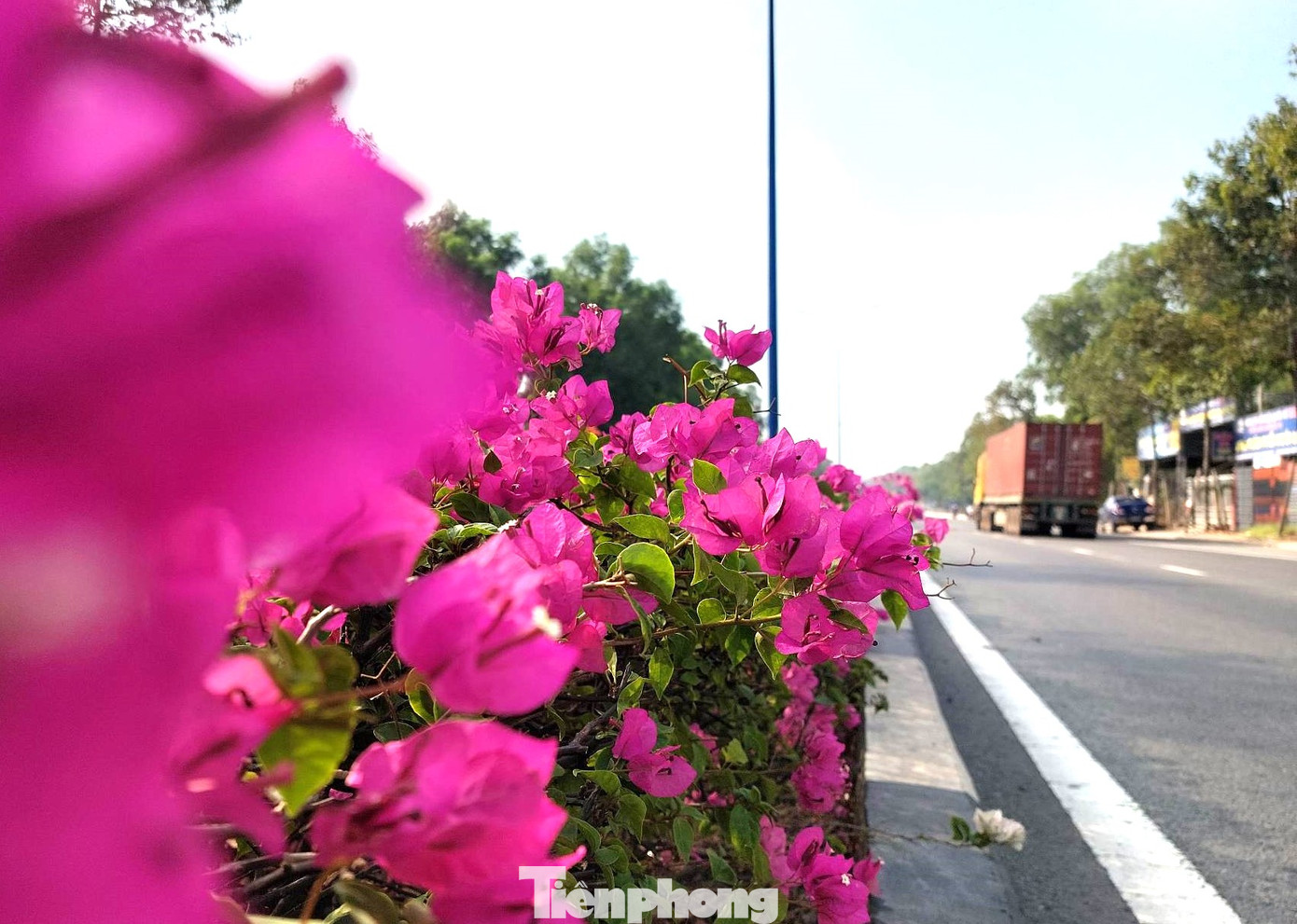 Là tuyến đường huyết mạch, Mỹ Phước Tân Vạn không chỉ "gánh" lượng phương tiện, hàng hóa trong tỉnh mà còn từ các tỉnh khu vực Tây Nguyên đến TPHCM và ngược lại.