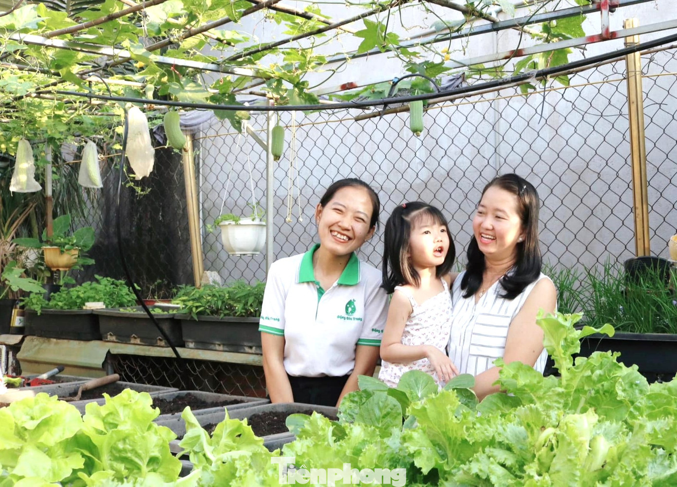 Trên sân thượng, cây được hứng nắng nên phát triển tươi tốt. Chồng chị Loan mua sắt về làm lại khung đỡ phía dưới cho cứng cáp hơn và cắt lan can để tiện khiêng đất lên xuống. Bác hàng xóm tốt bụng còn cho mượn thêm diện tích mái nhà để chị Loan tăng diện tích khu vườn trồng rau.