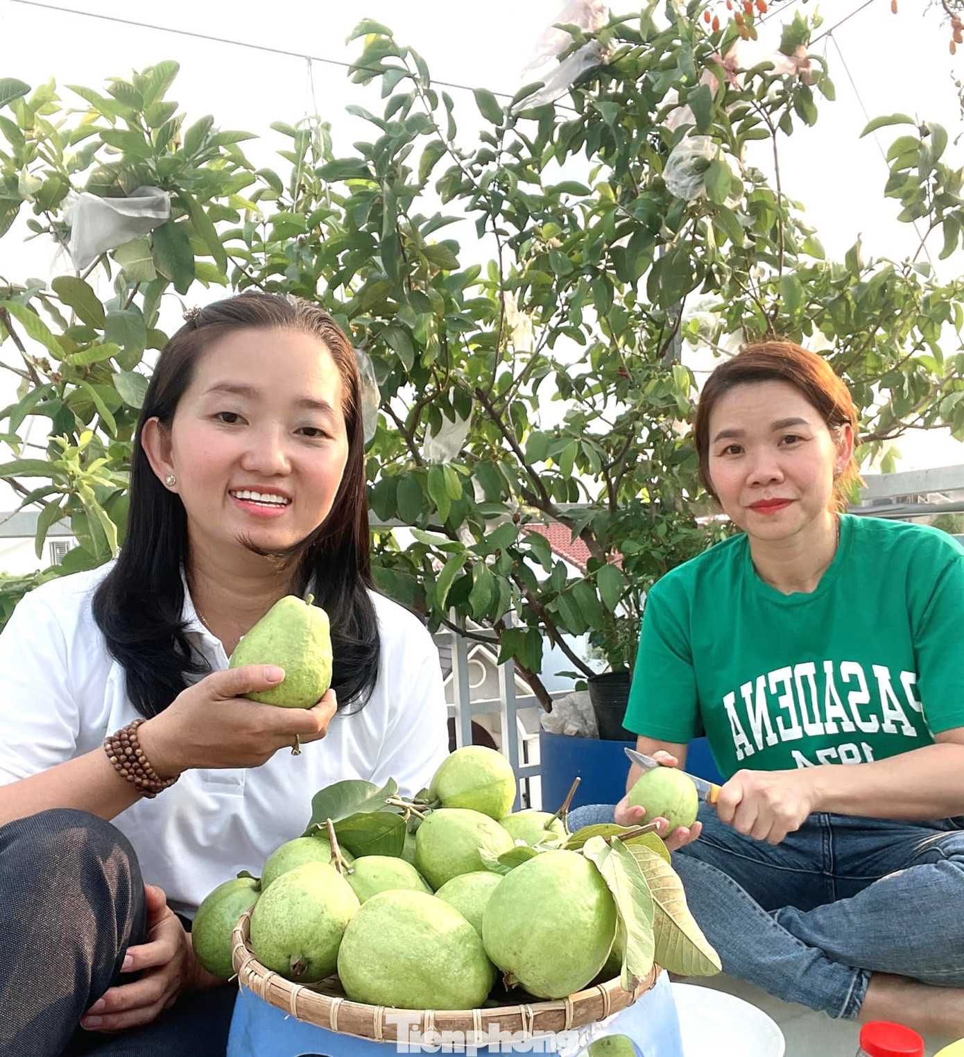 Được bạn bè có kinh nghiệm trồng rau đến nhà chơi, động viên, chị Loan đã biến khu vườn nhỏ trên sân thượng thành nơi cung cấp rau, quả sạch. “Nghe bạn khuyên, tôi chỉ gật đầu cho vui, chứ không dám nghĩ đến chuyện kinh doanh. Thấy vườn rau đẹp quá, tôi chụp đăng lên facebook khoe thì nhiều người ghé đến chơi và đặt hàng", chị Loan tiết lộ.