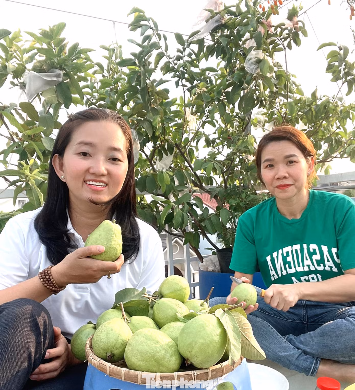 Được bạn bè có kinh nghiệm trồng rau đến nhà chơi, động viên, chị Loan đã biến khu vườn nhỏ trên sân thượng thành nơi cung cấp rau, quả sạch. “Nghe bạn khuyên, tôi chỉ gật đầu cho vui, chứ không dám nghĩ đến chuyện kinh doanh. Thấy vườn rau đẹp quá, tôi chụp đăng lên facebook khoe thì nhiều người ghé đến chơi và đặt hàng", chị Loan tiết lộ.