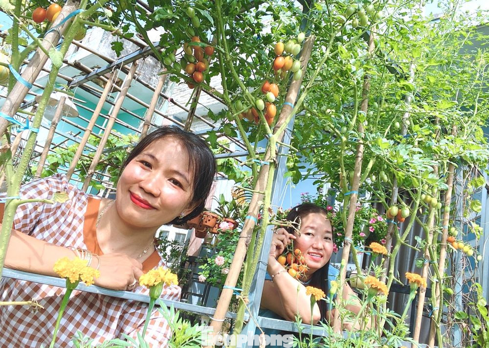 “Ban đầu, tôi chỉ trồng trong vài thùng xốp ở dưới nhà cho vui để có rau sạch ăn. Thế nhưng, thấy rau, quả lên nhanh, tôi “ghiền” luôn", chị Loan nhớ lại.