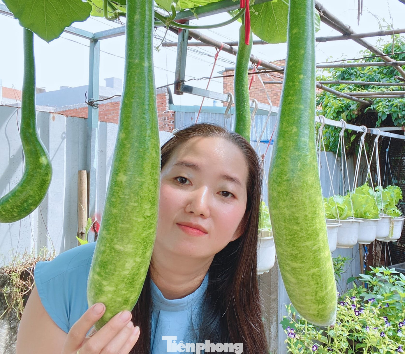 Sợ ông xã la, tôi lén lút dọn sân thượng, đưa đất và các dụng cụ lên trồng, tạo một khu vườn nhỏ. Lúc đó, tôi chỉ nghĩ trồng rau sạch để xả “stress”, lại có cái để ăn. Thế nhưng, khu vườn cho rau, củ nhiều quá, tôi phải mang đi cho cả xóm”, chị Loan nhớ lại.