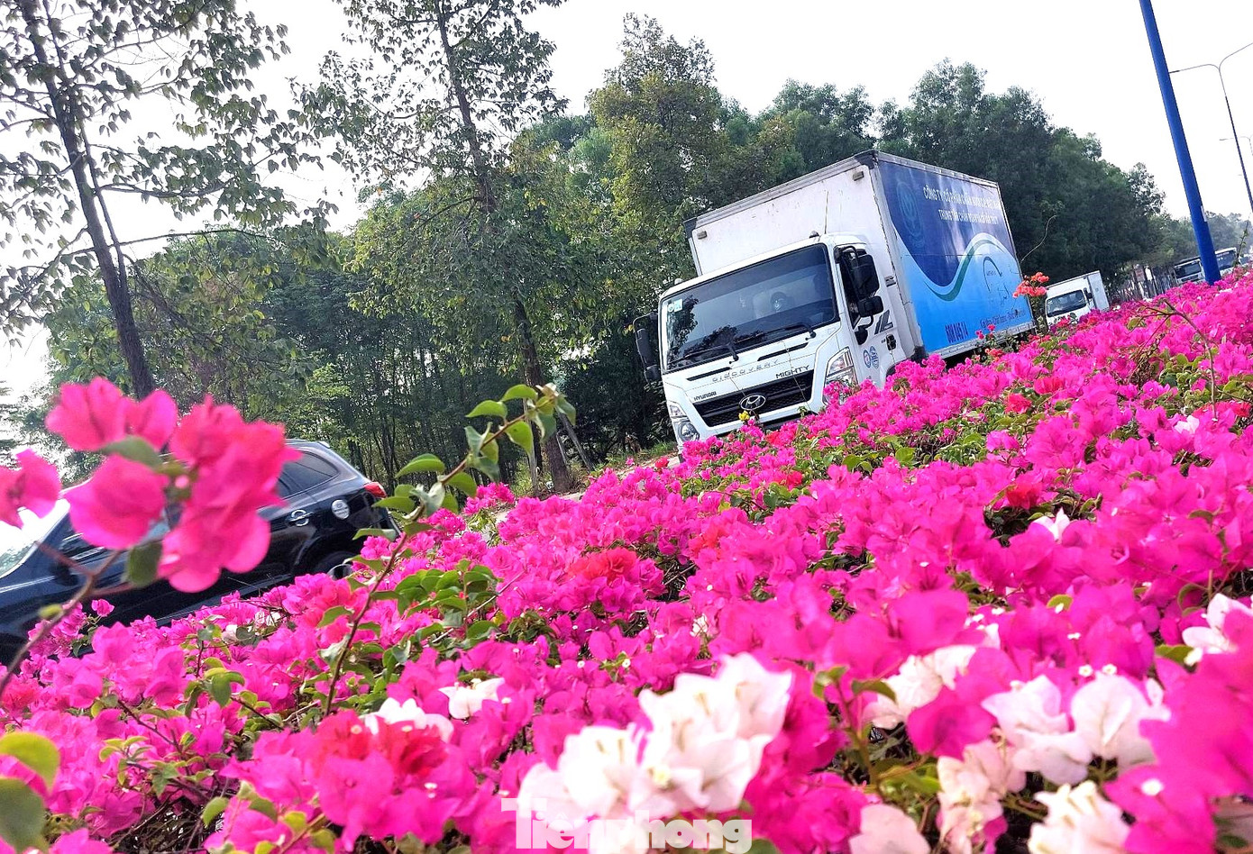 Tuyến đường này có một phần trùng với dự án đường Vành đai 3 TPHCM (đoạn thuộc địa bàn TP Dĩ An).