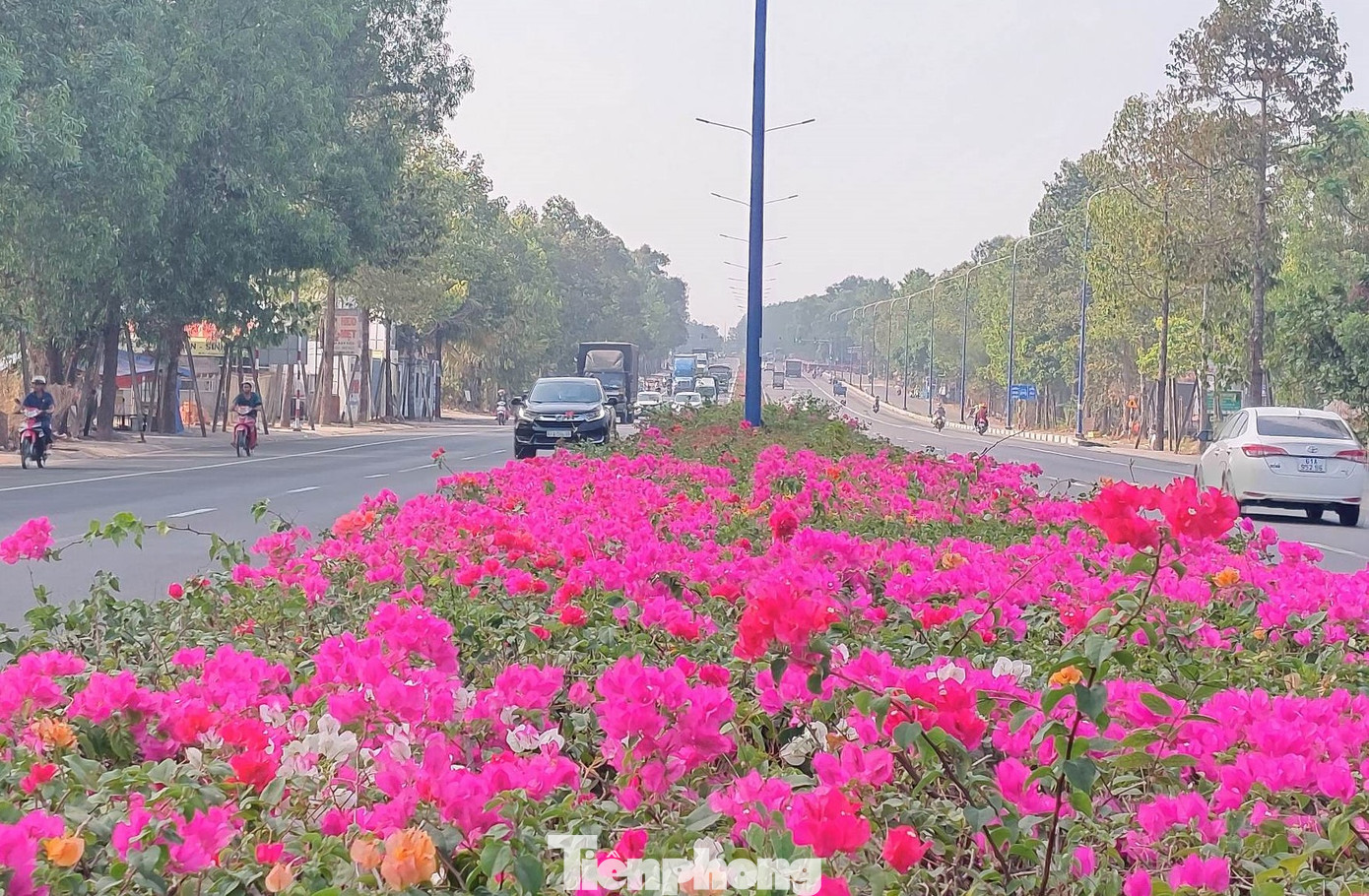Do phương tiện lưu thông đông đúc, đã có không ít vụ tai nạn giao thông xảy ra trên tuyến Mỹ Phước Tân Vạn. Con đường này cũng trở thành nỗi ám ảnh đối với người đi đường.