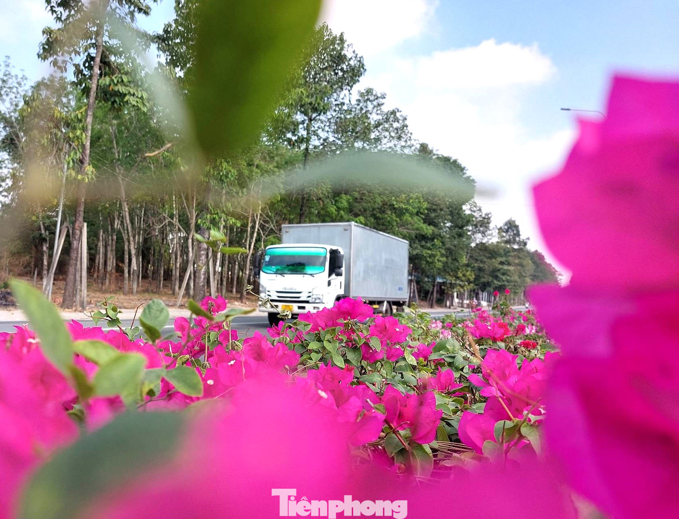 Tuyến đường có chiều dài 64 km với 10 làn xe và tổng vốn đầu tư khoảng 4.300 tỷ đồng.