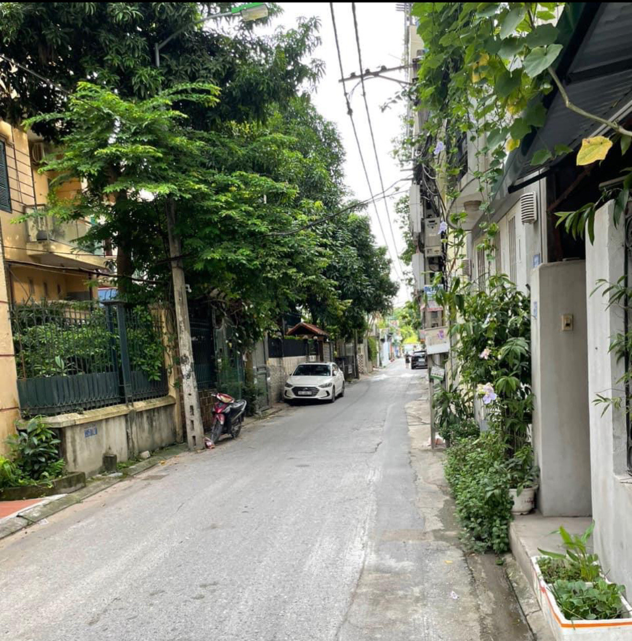 Ảnh minh họa. Ảnh minh họa.