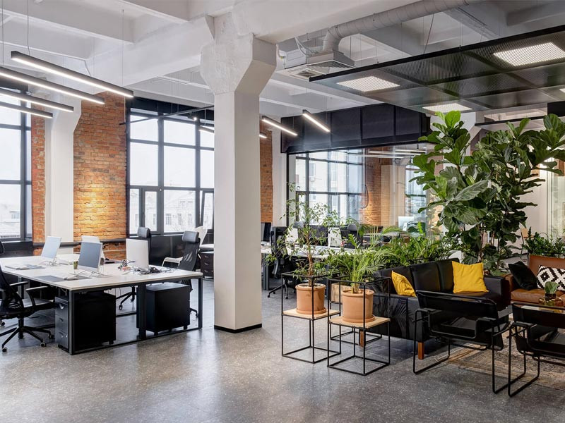 Ảnh minh họa. Ảnh minh họa.