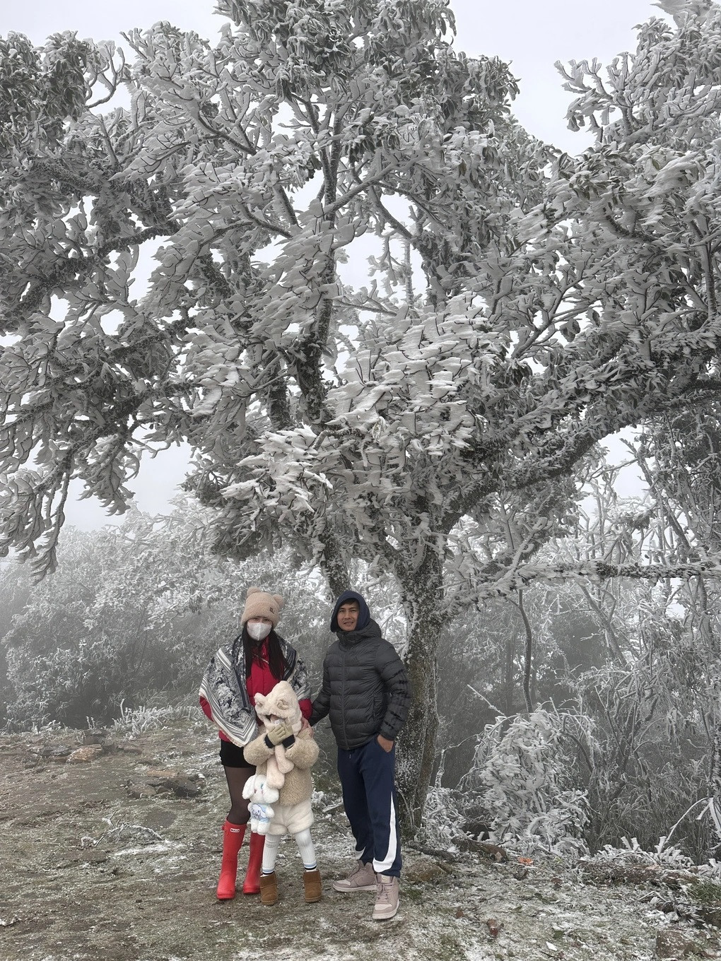 Gia đình chị Ánh di chuyển bằng ô tô lên tận đỉnh Mẫu Sơn, dừng lại ở các điểm có băng tuyết đẹp dọc đường để chụp ảnh (Ảnh: Nhân vật cung cấp). Gia đình chị Ánh di chuyển bằng ô tô lên tận đỉnh Mẫu Sơn, dừng lại ở các điểm có băng tuyết đẹp dọc đường để chụp ảnh (Ảnh: Nhân vật cung cấp).