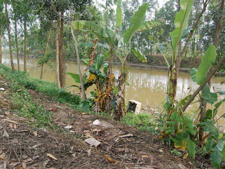 Hiện trường nơi phát hiện xác hai mẹ con chị