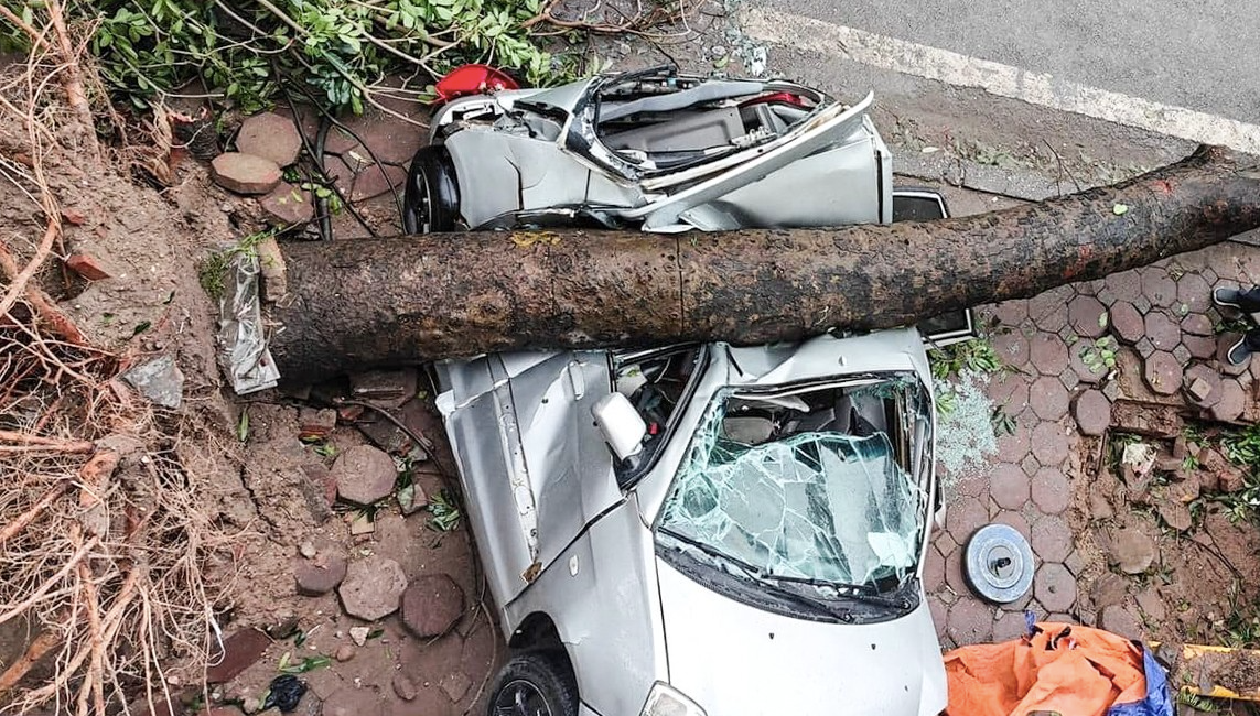 Ô tô tại Hà Nội bị cây đổ đè bẹp khi cơn bão số 3 quét qua. Ảnh: TP.