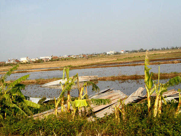 Trên đồng, các mảng tôn nằm ngổn ngang