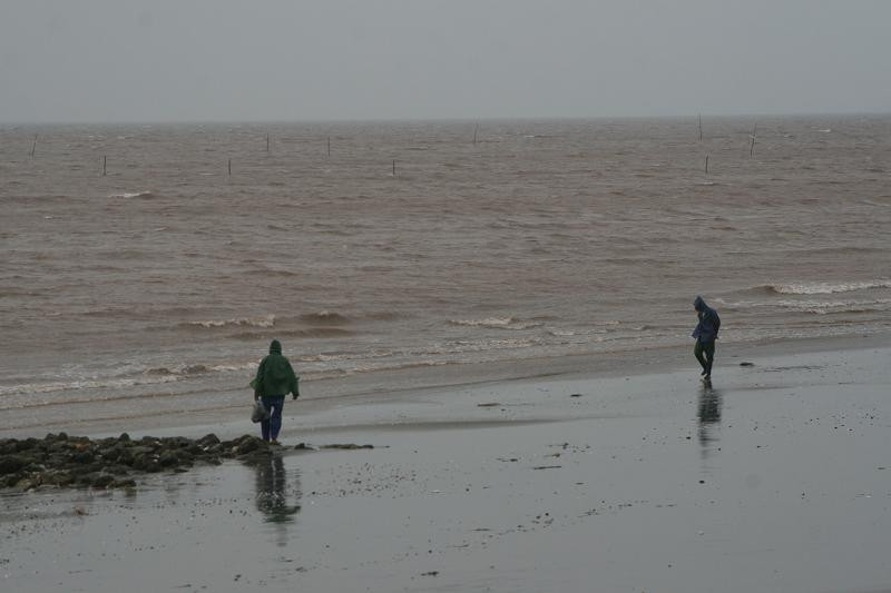 Người dân vẫn lao ra biển cào nghêu