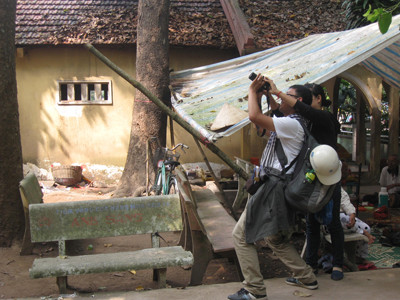Chụp ảnh đàn dơi trên ngọn cây cao tại chùa Dơi