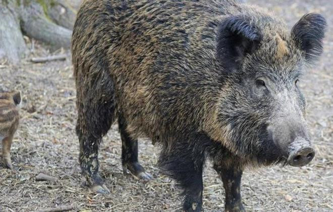 Ảnh minh hoạ. Ảnh minh hoạ.