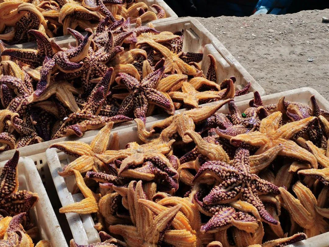 Theo các chuyên gia, dù sao biển lạ miệng và đẹp mắt nhưng không nên ăn nhiều. Theo các chuyên gia, dù sao biển lạ miệng và đẹp mắt nhưng không nên ăn nhiều.