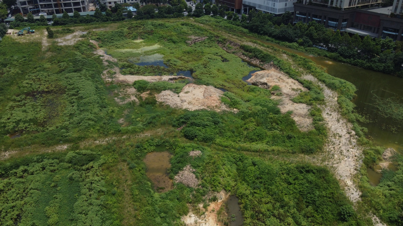 Bên trong dự án, nhiều hố đất được đào xới nham nhở, lâu ngày nước đọng thành những ao tù gây ô nhiễm.