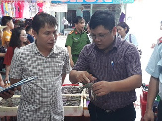 Thu giữ lượng lớn tôm căng, mập bất thường do bơm chất độc hại ảnh 1